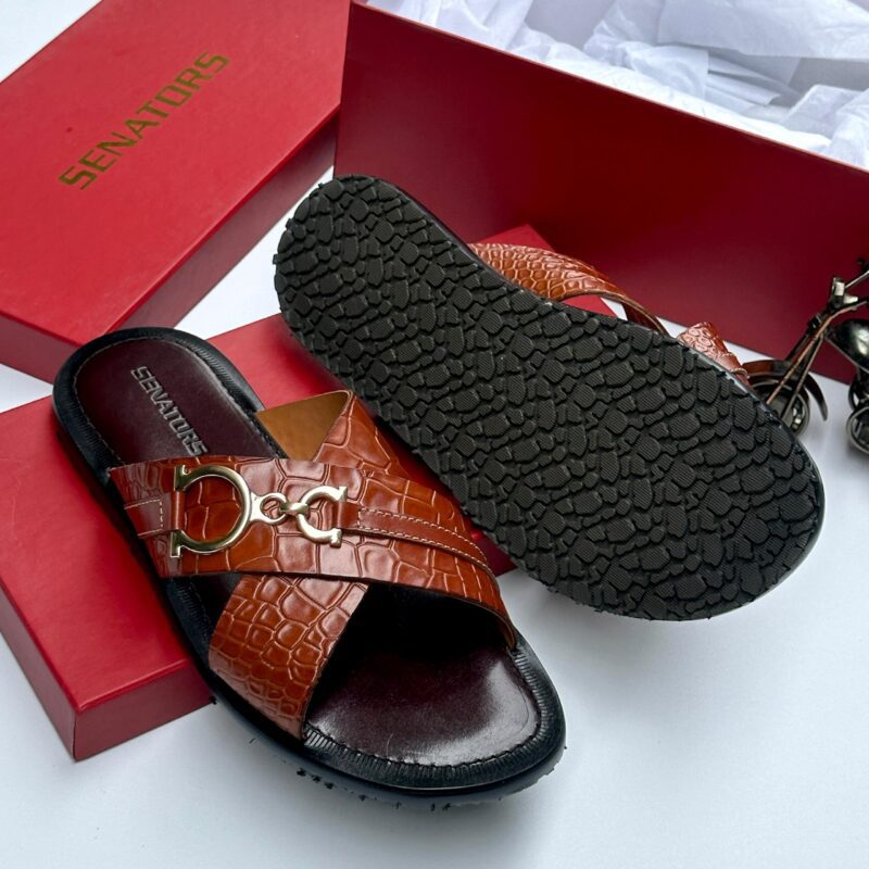 Senator Pams - Image 3