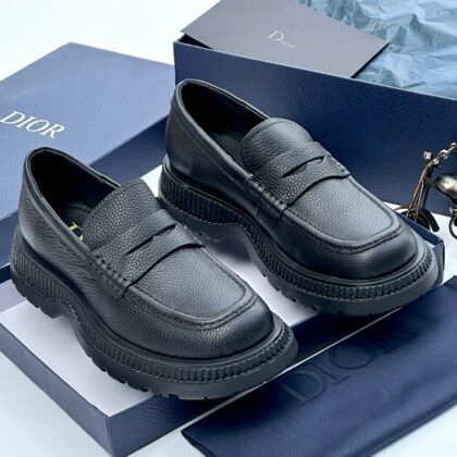 Christian Dior Luxury Shoe